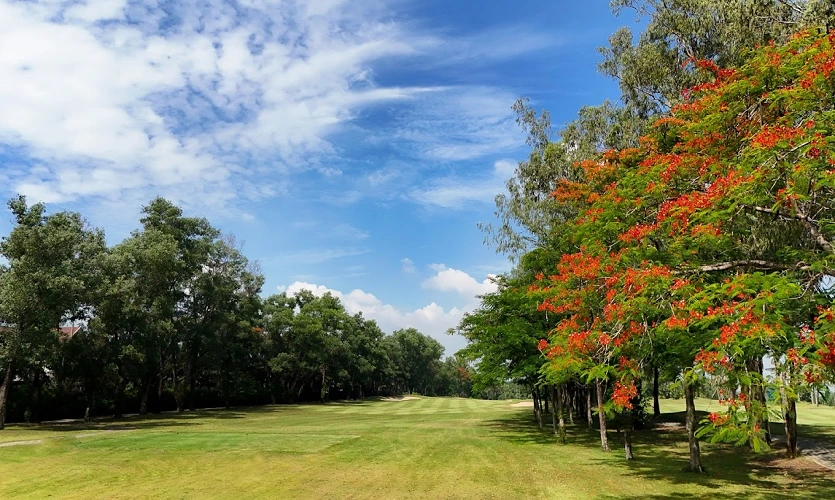 골프장 자연 경관, 근교 인기 골프장 코스