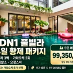 다낭 DN1 풀빌라 3박 4일 황제 패키지|가라오케 2회